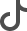 TikTok Icon